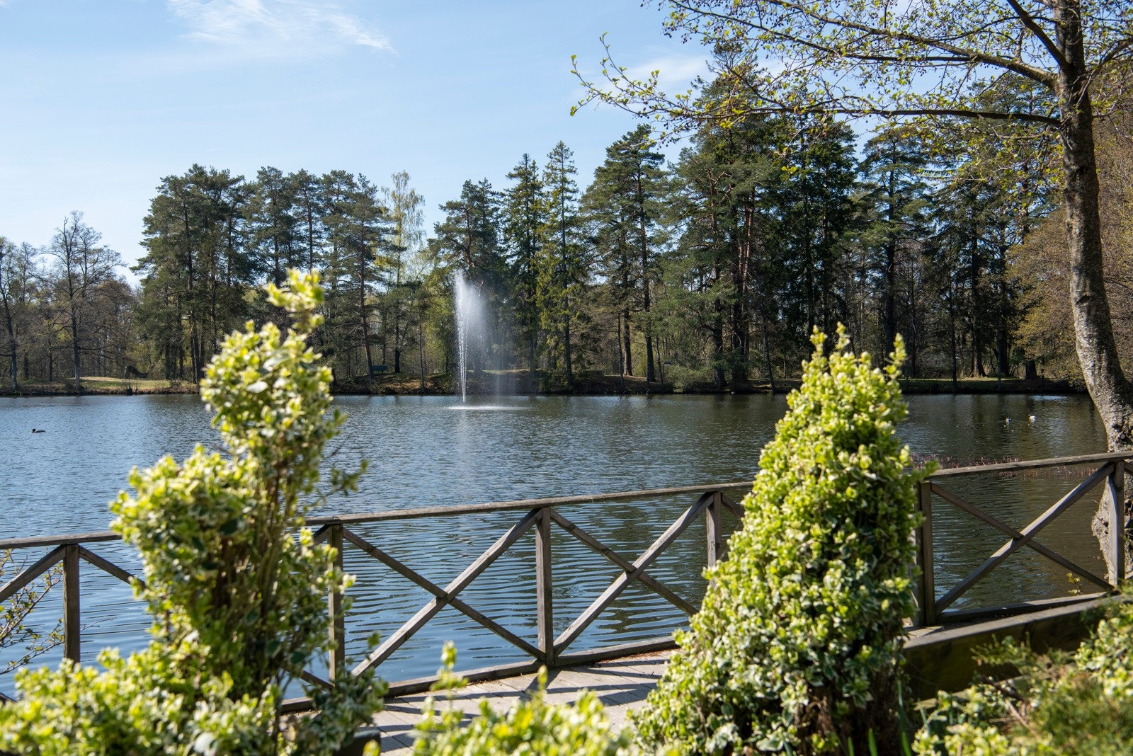 Her finner man andedam, opplyste turløyper og gressletter. Galleribilde