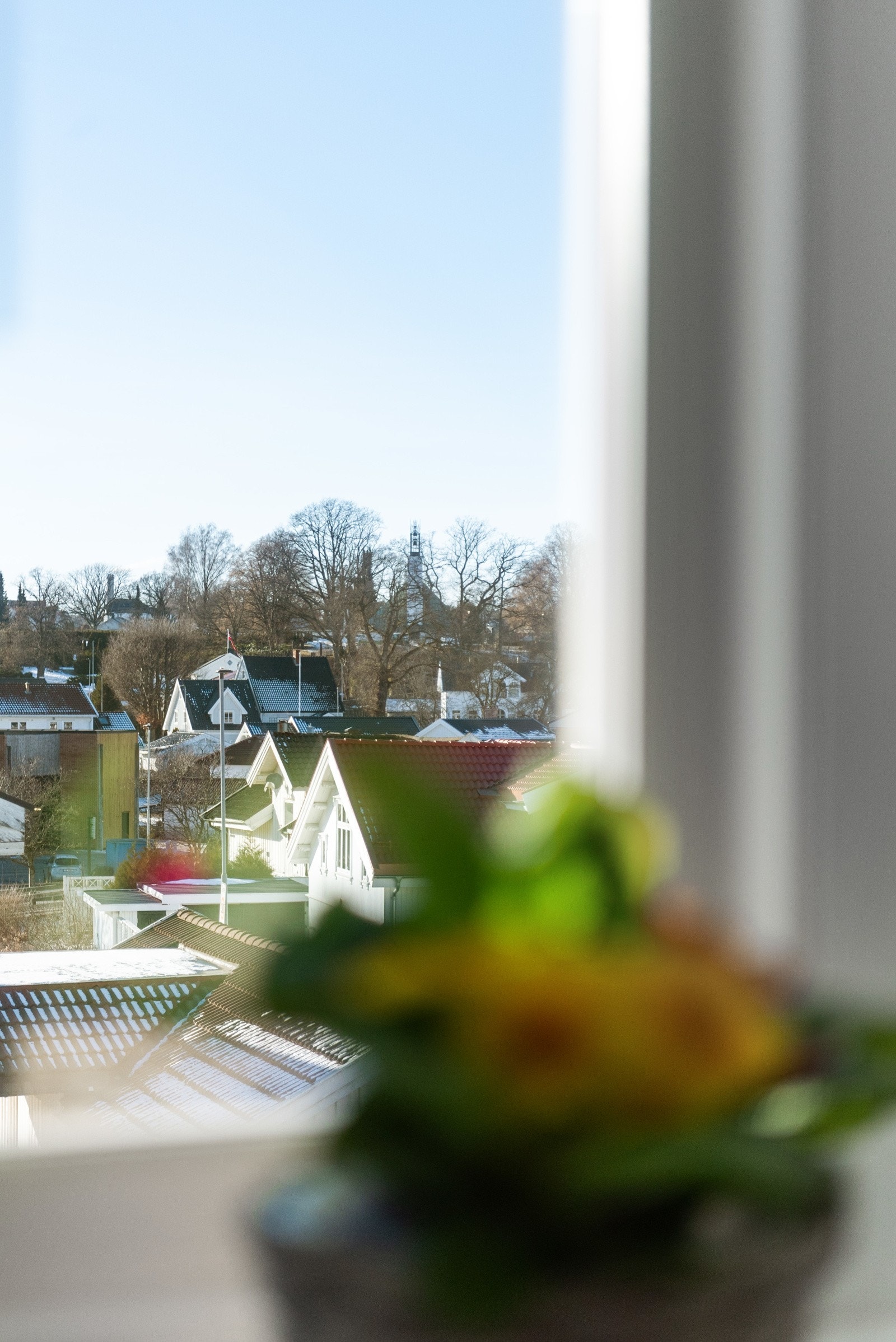 Utsikt fra stuens vinduer. Galleribilde