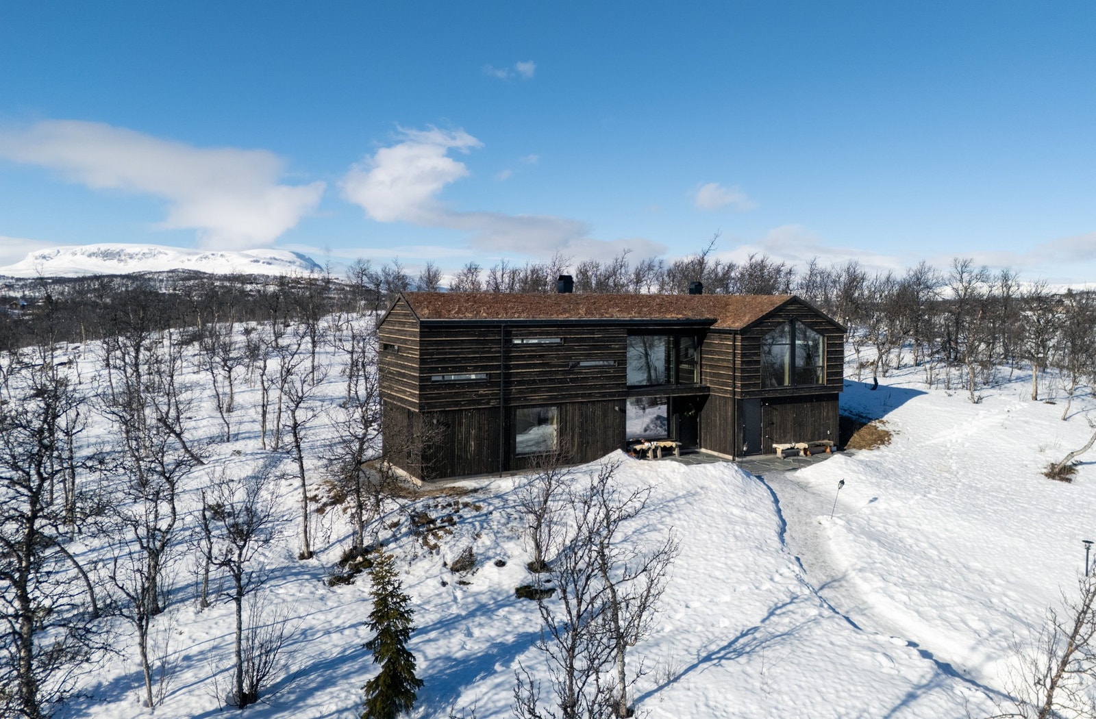 En perle av en arkitekttegnet hytte med utsikt til Skarvet Galleribilde