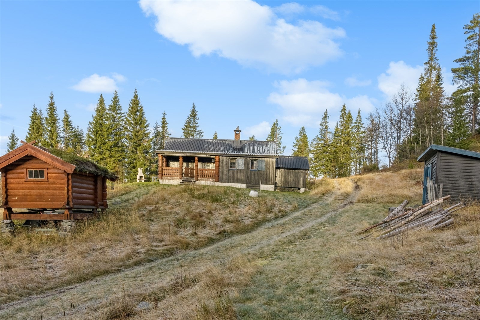 Sommerveg til hytta. Galleribilde