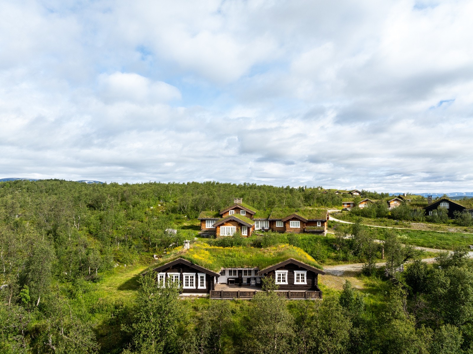 Langetjødnvegen Galleribilde