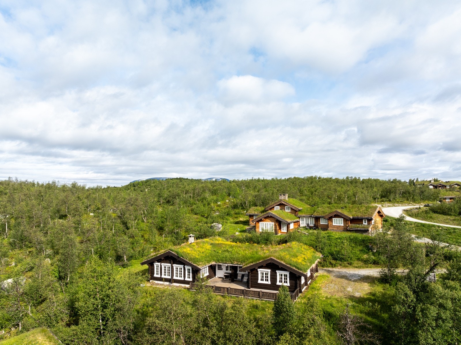 Langetjødnvegen Galleribilde