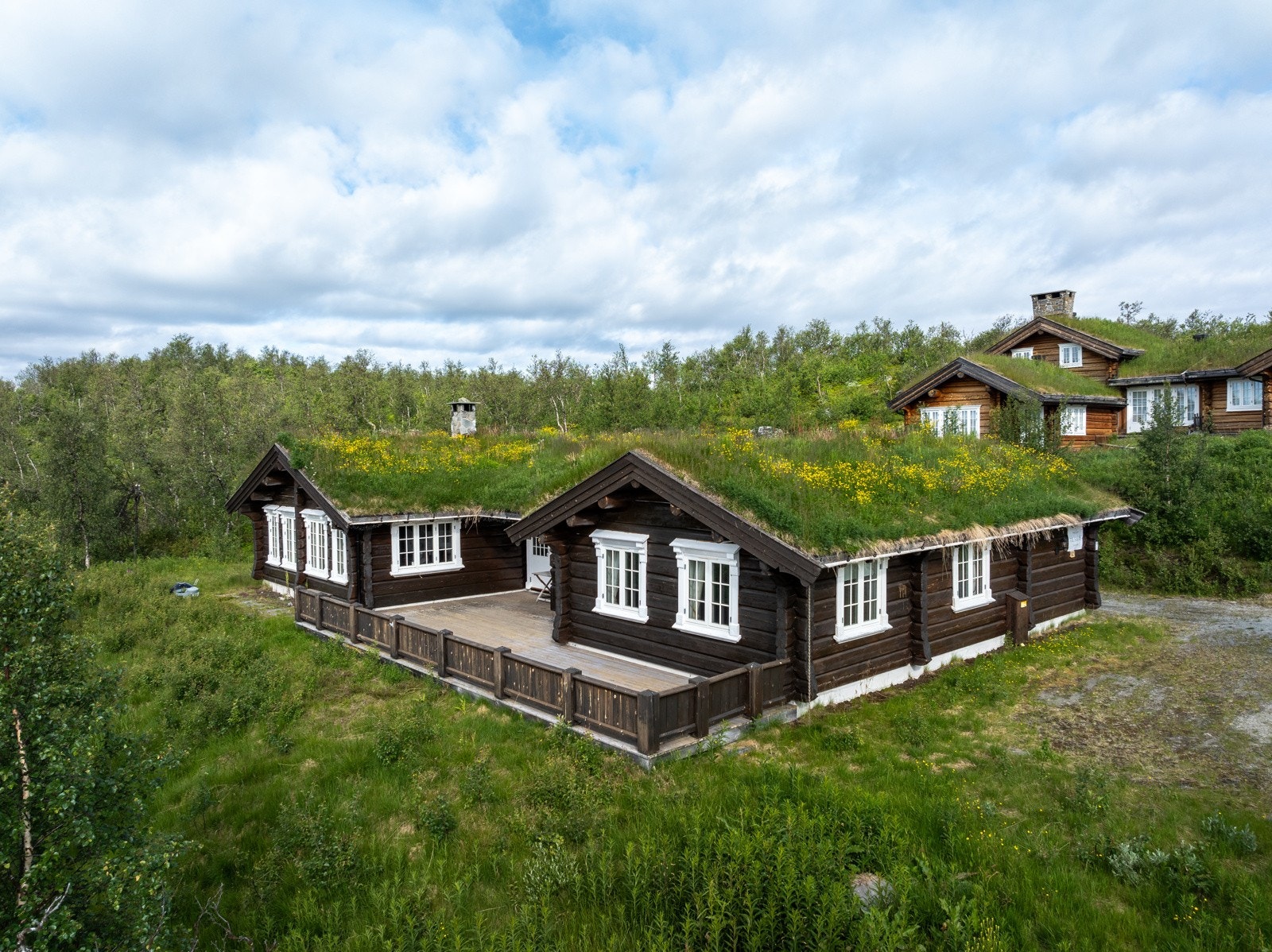Langetjødnvegen Galleribilde