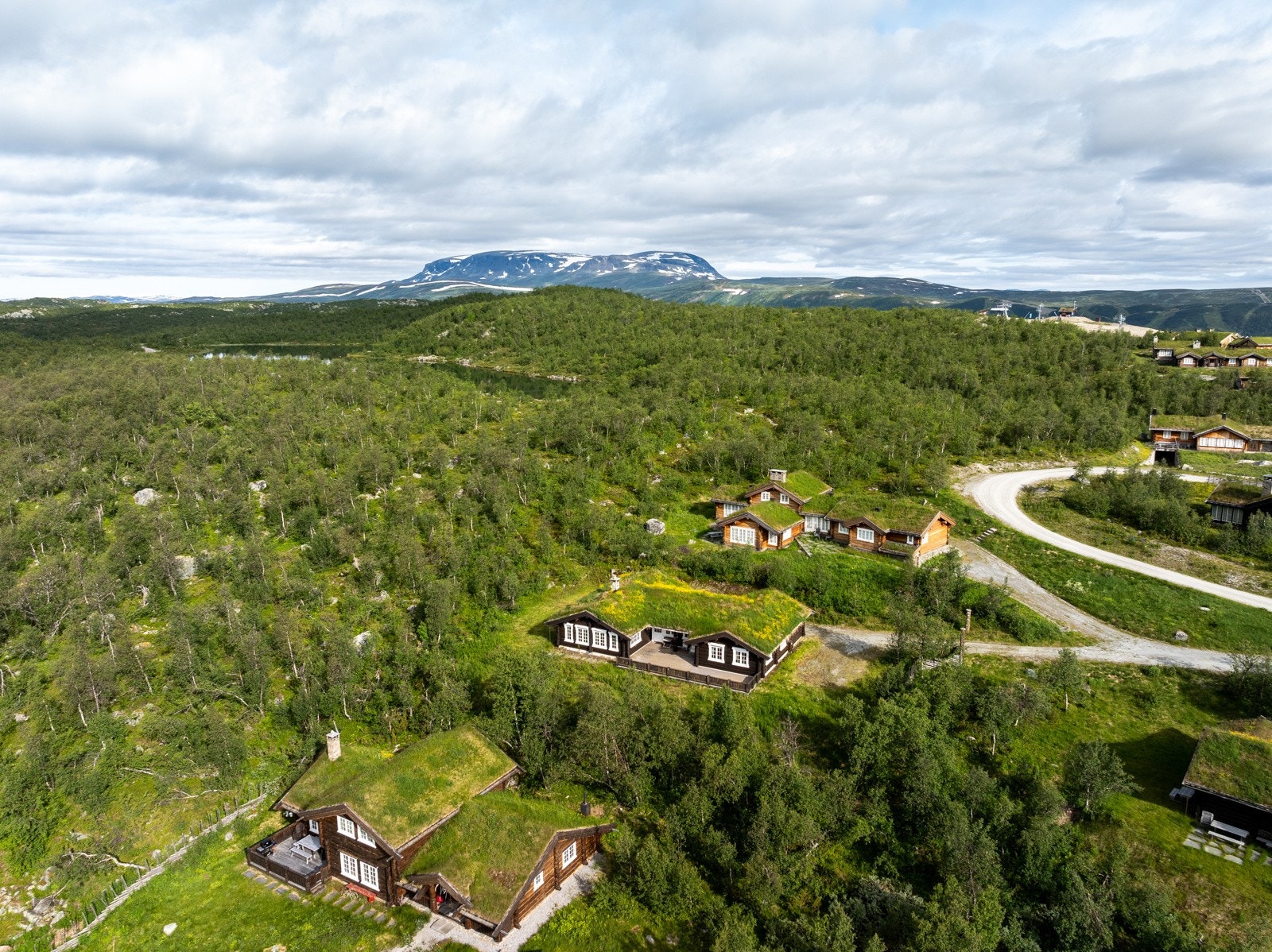 Langetjødnvegen Galleribilde