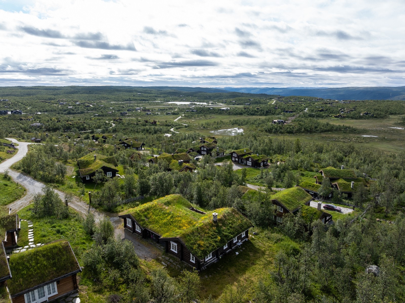 Langetjødnvegen Galleribilde