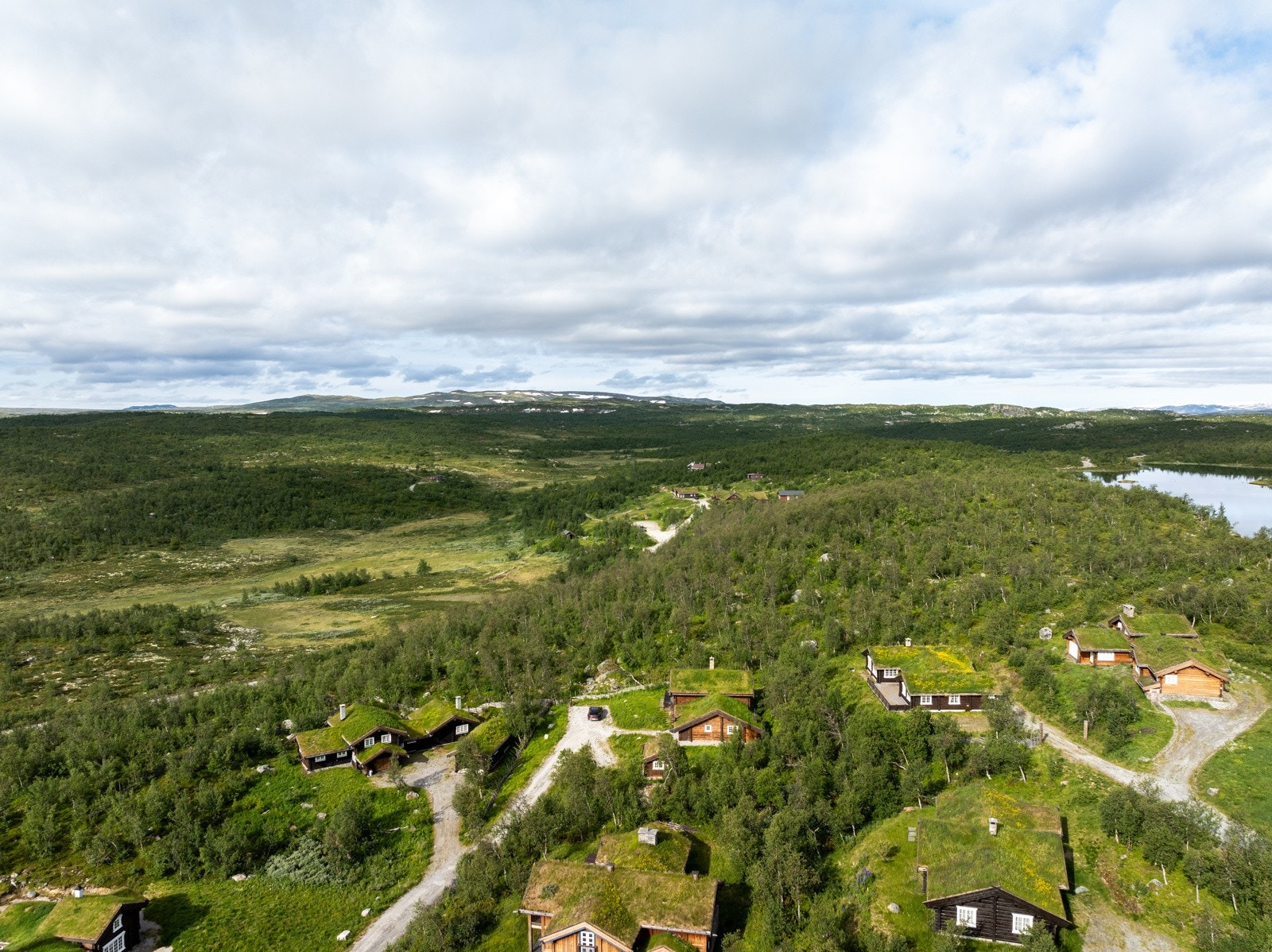 Langetjødnvegen Galleribilde