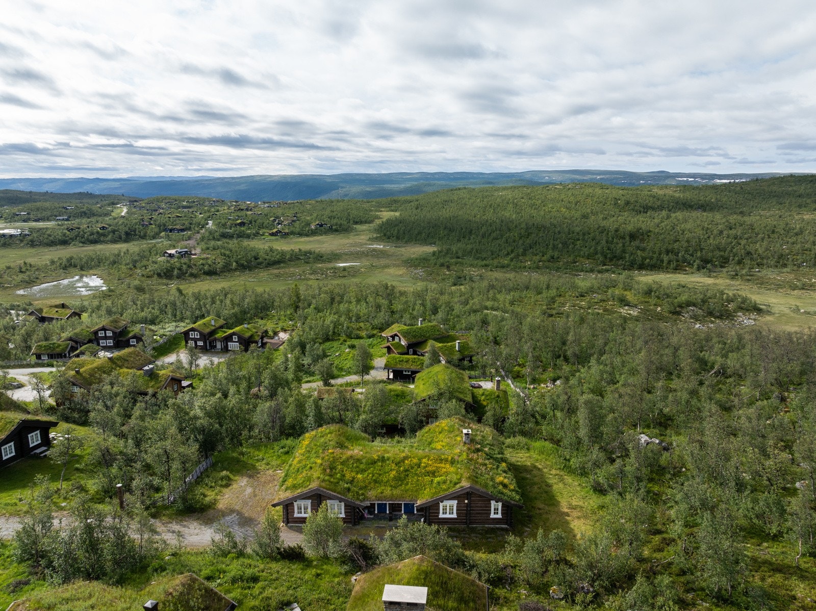 Langetjødnvegen Galleribilde