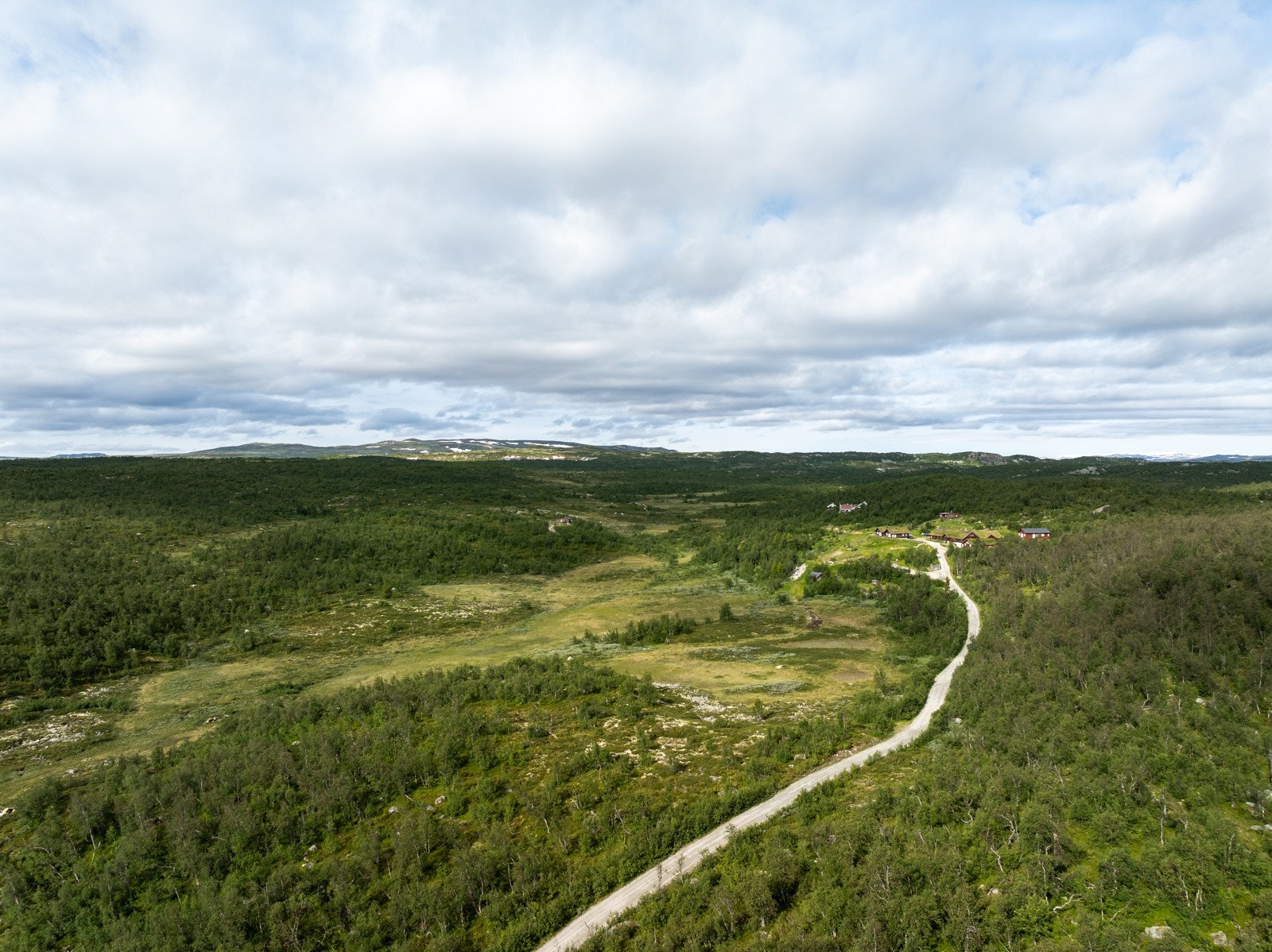Langetjødnvegen Galleribilde