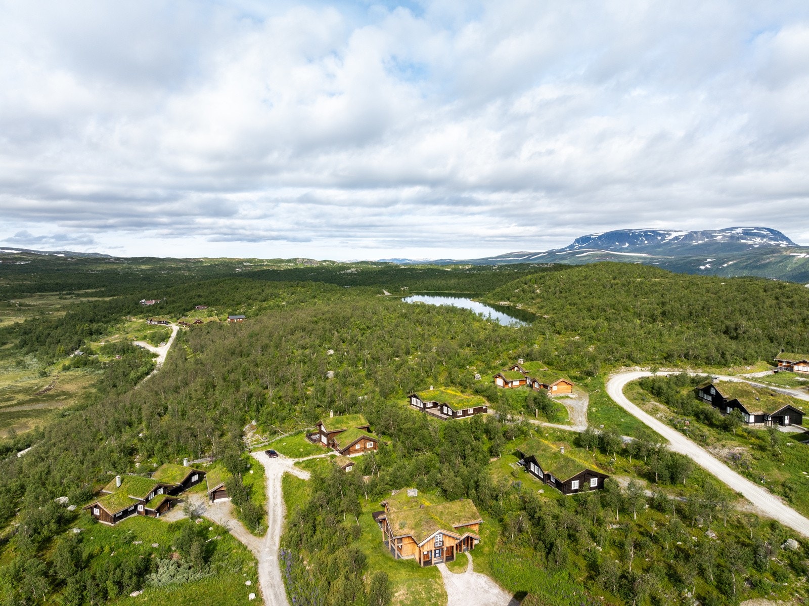 Langetjødnvegen Galleribilde