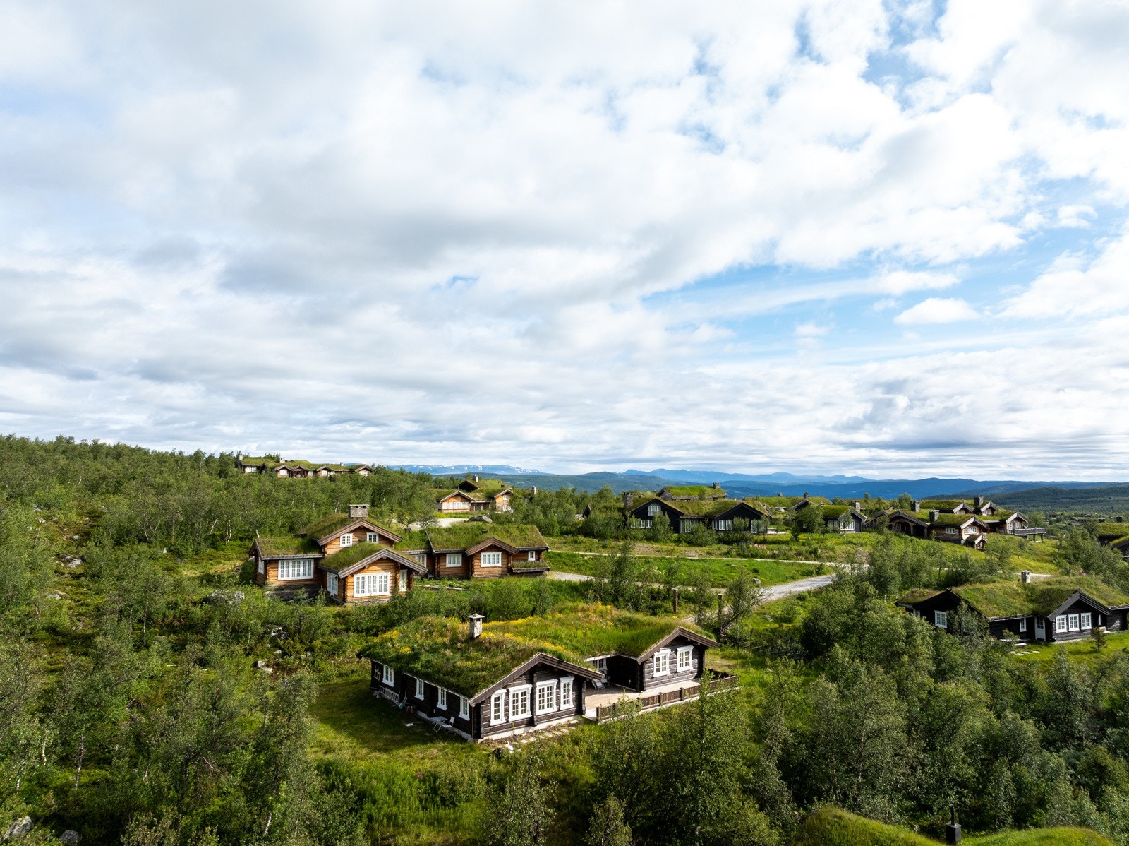 Langetjødnvegen Galleribilde