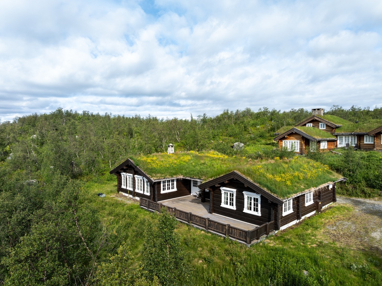 Langetjødnvegen Galleribilde