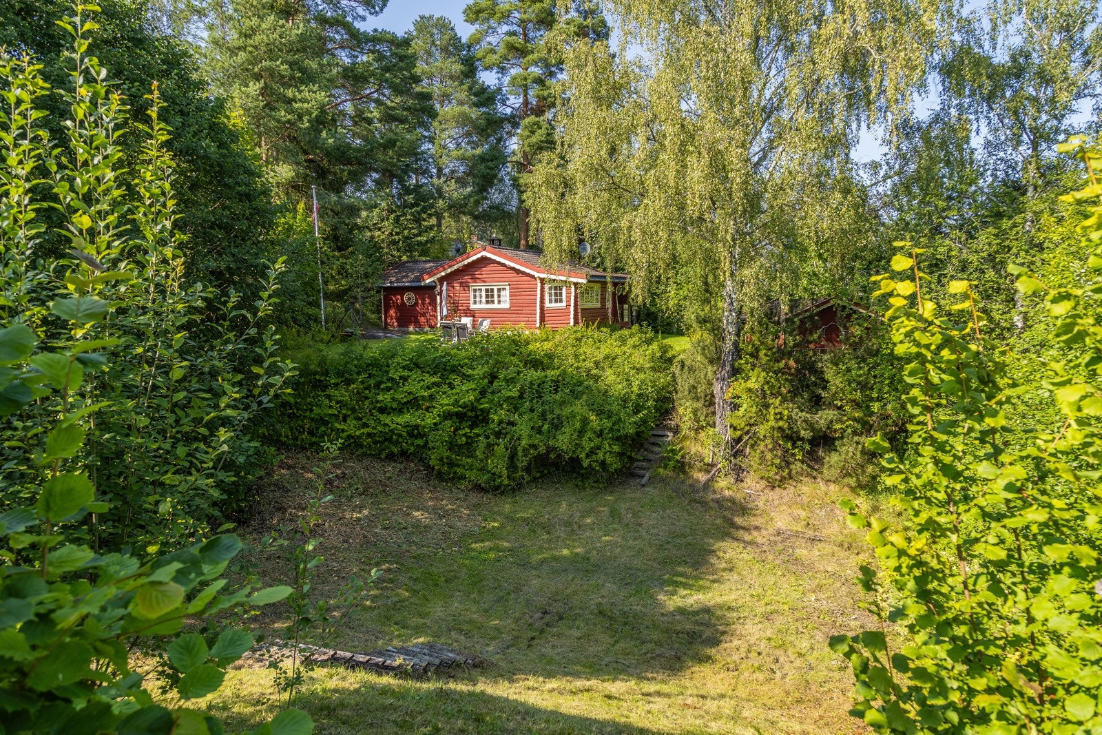 Stor tomt Galleribilde