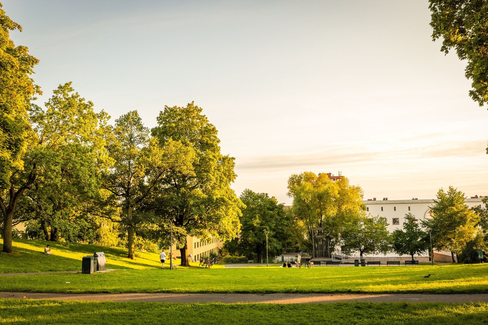 Bjølsenparken er en frodig og hyggelig park rett ved boligen. Galleribilde