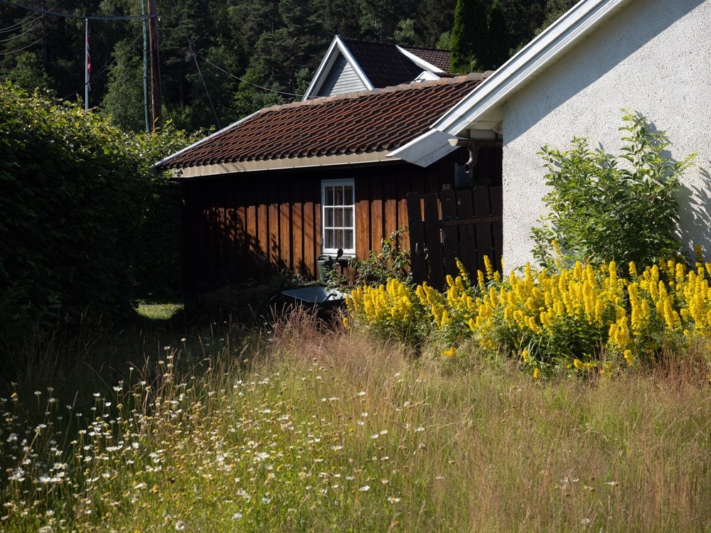 Hage med mulighet for å dyrke grønnsaker Galleribilde