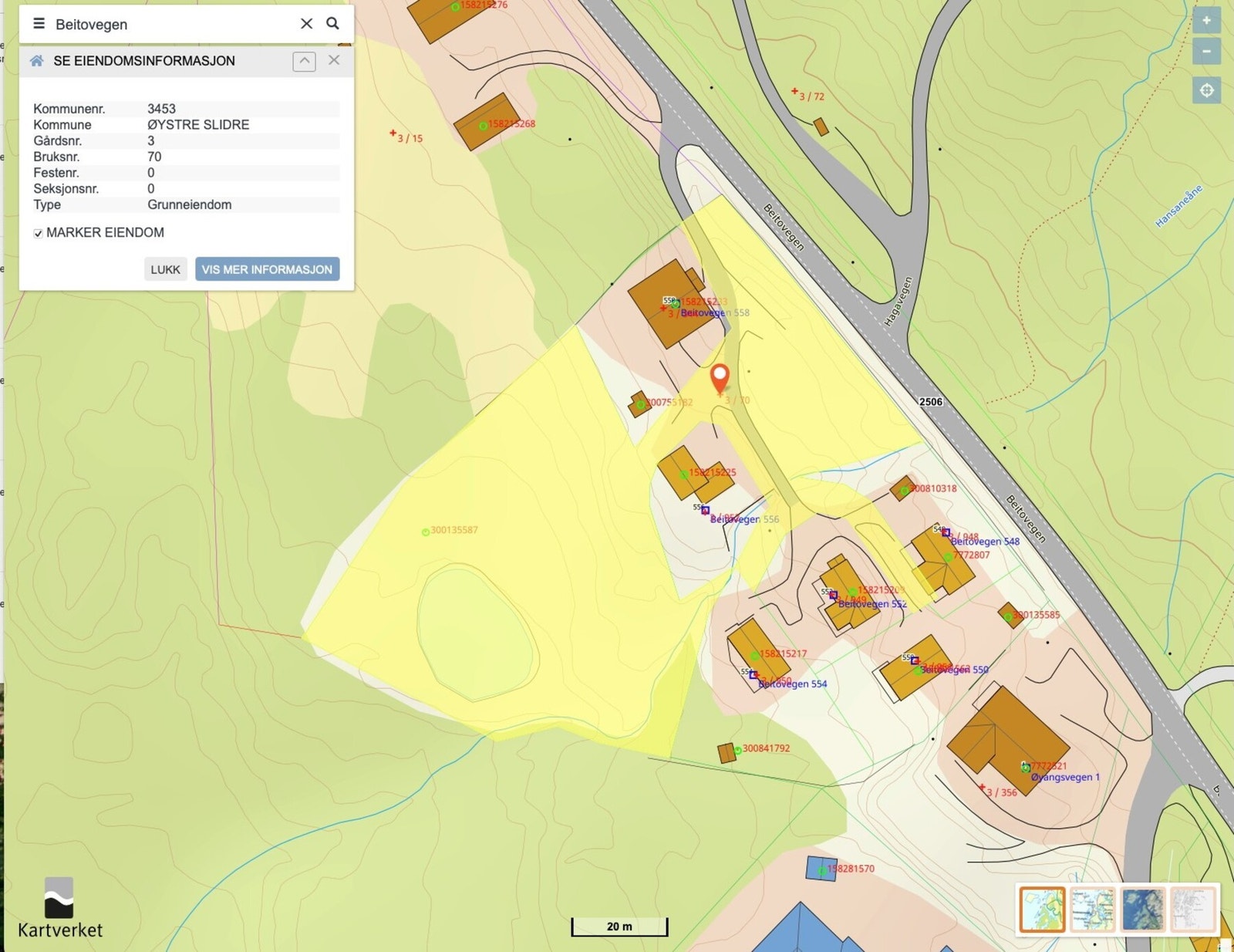 Oversikt over tomten. Galleribilde