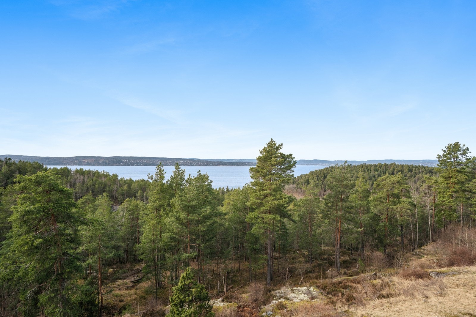 Boligen ligger i naturskjønne omgivelser med utsikt over flott furuskog og fjord Galleribilde