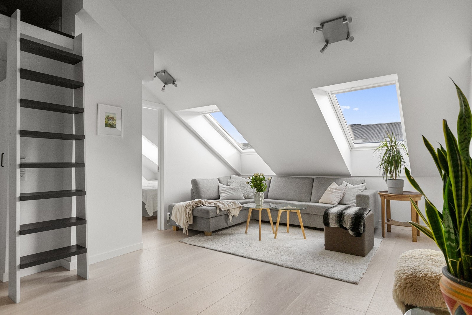 Det er store takvinduer som slipper inn godt med naturlig lys, og skaper en god atmosfære Galleribilde