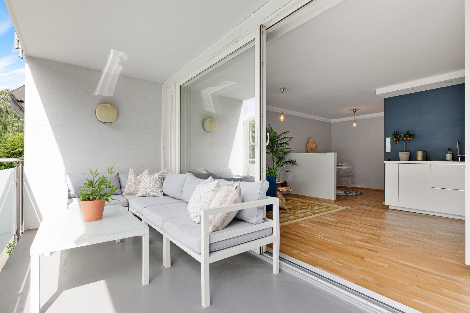 Velkommen til Olav Kyrres gate 9B! Galleribilde