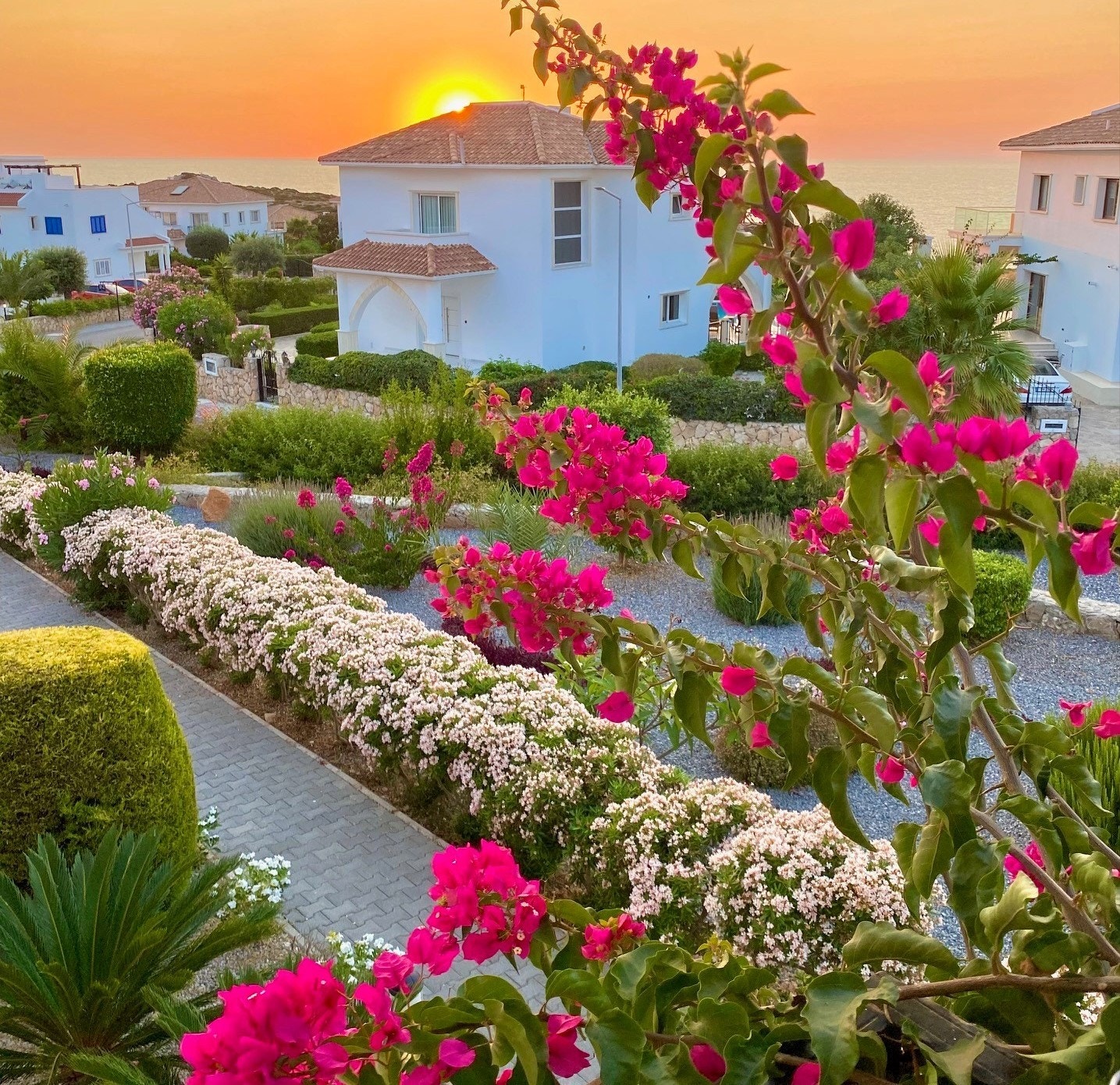 De vakreste solnedganger Galleribilde