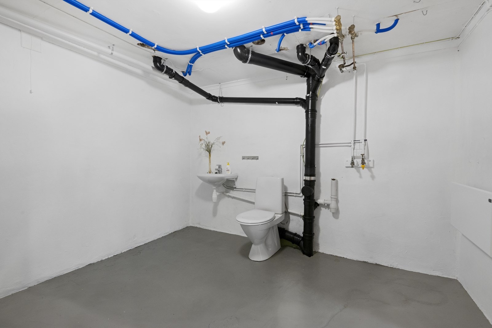 Toalettrom i kjeller. Galleribilde