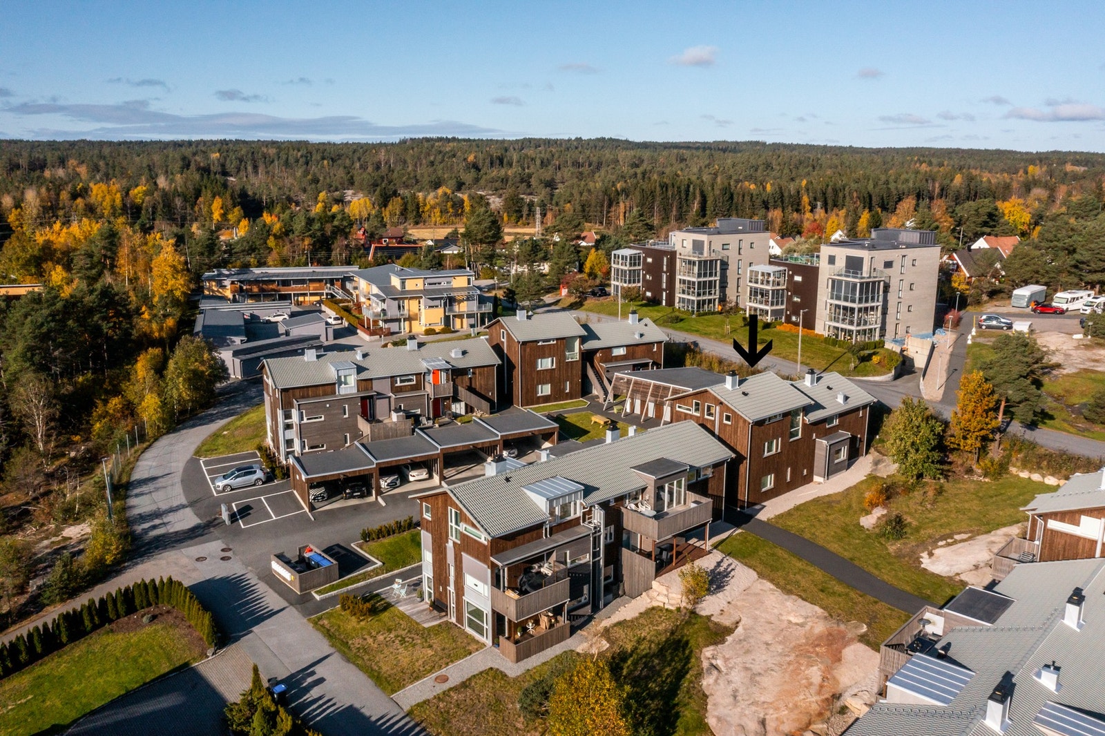 Velkommen til visning! Galleribilde