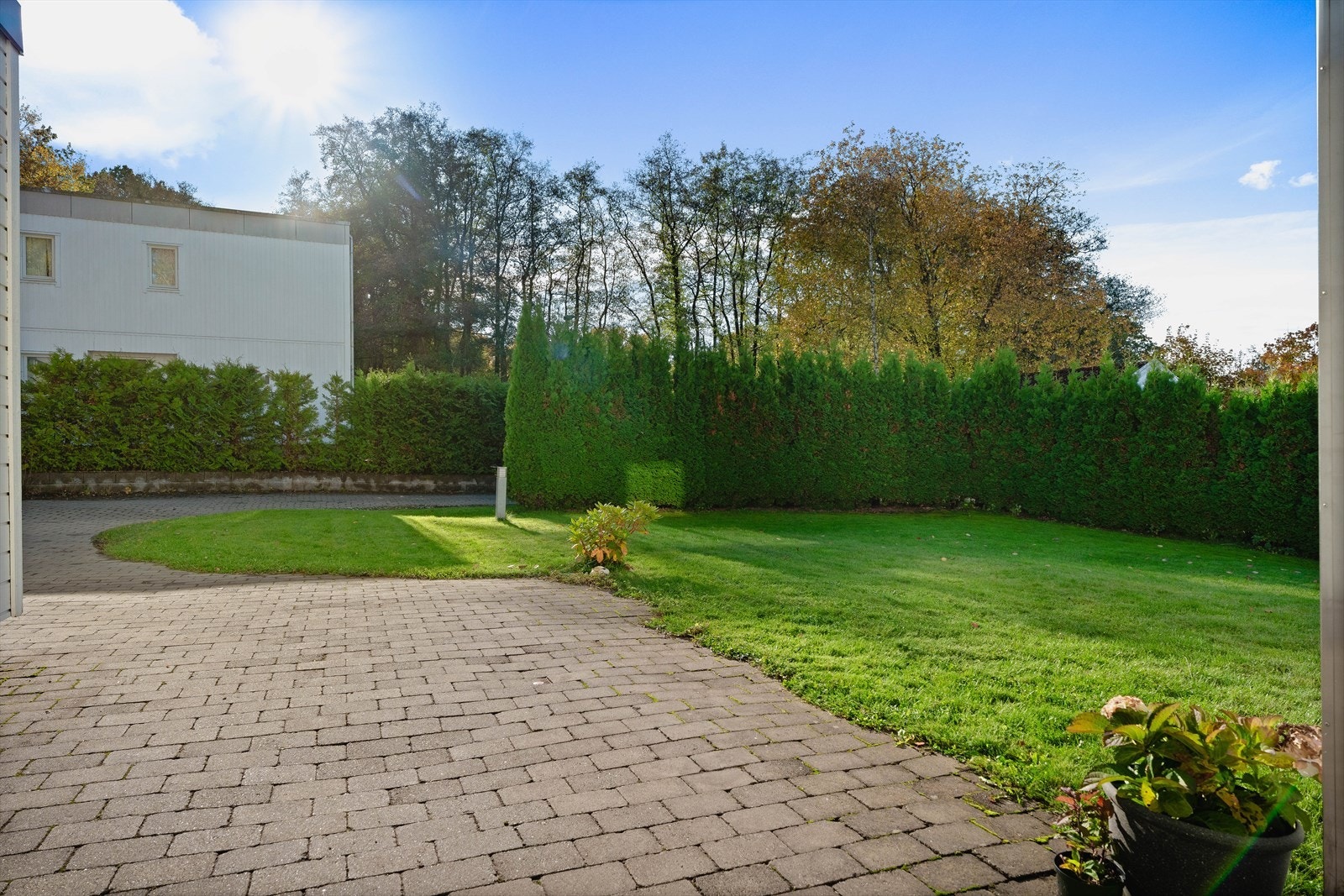 Deler av eiendommen er skjermet med hekk. Galleribilde