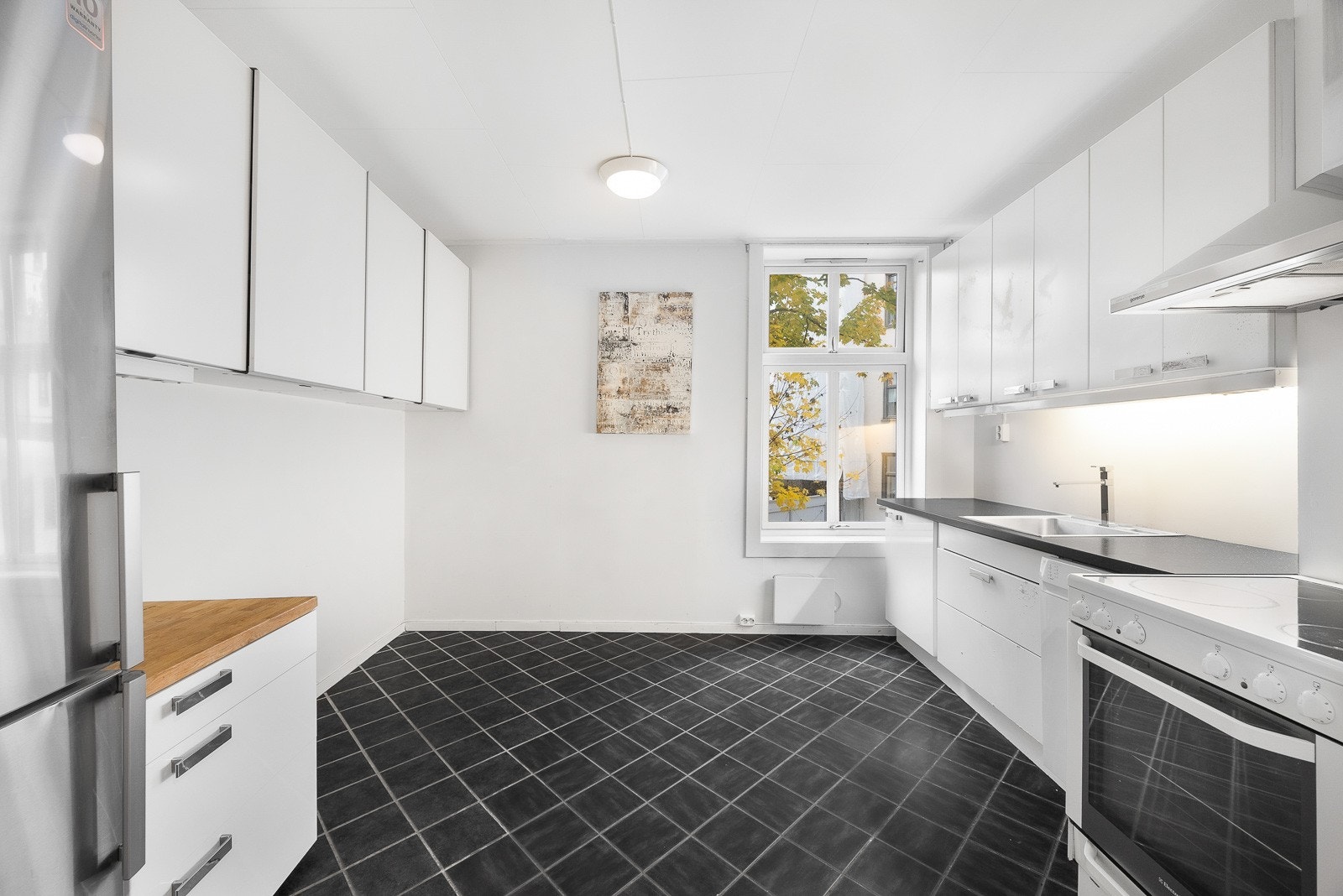 Kjøkkenet har kullfilterventilator i børstet stål, stekeovn med koketopp, oppvaskmaskin og frittstående kjøleskap. Galleribilde