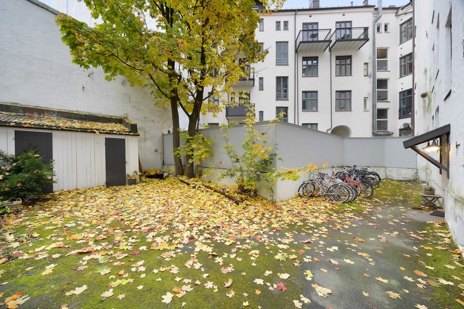 Bakgård. Galleribilde