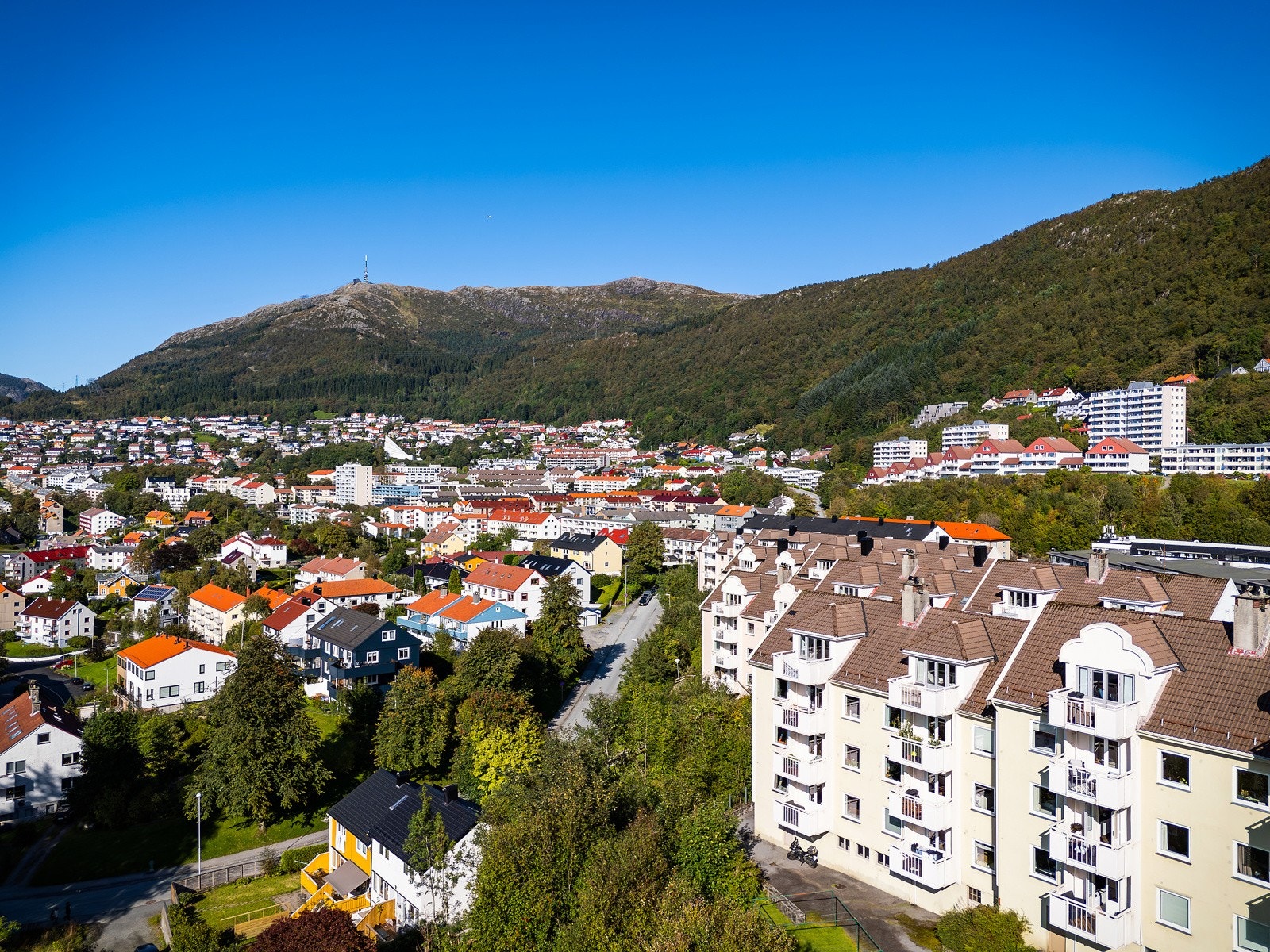 Velkommen til en hyggelig visning! Galleribilde