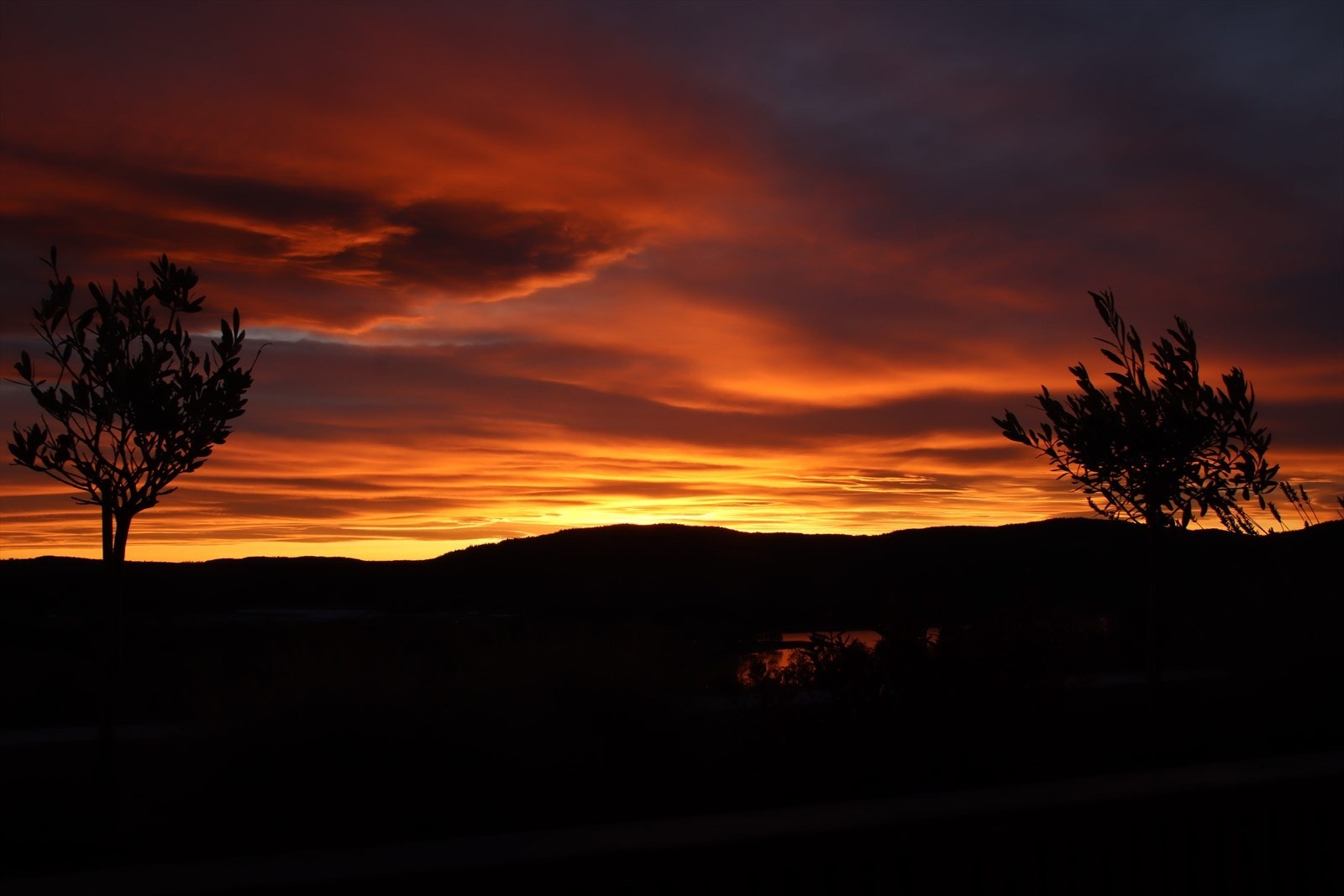 Ved Bogstadvannet, en hyggelig gåtur unna, finnes flotte rekreasjonsmuligheter både sommer og vinter. Her finner du også det populære utfartsstedet Bogstad gård med café. Galleribilde