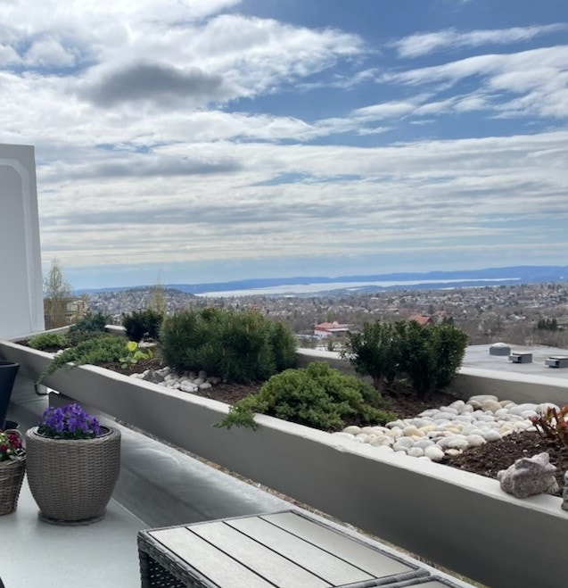 Nydelig utsikt fra terrasse! Galleribilde