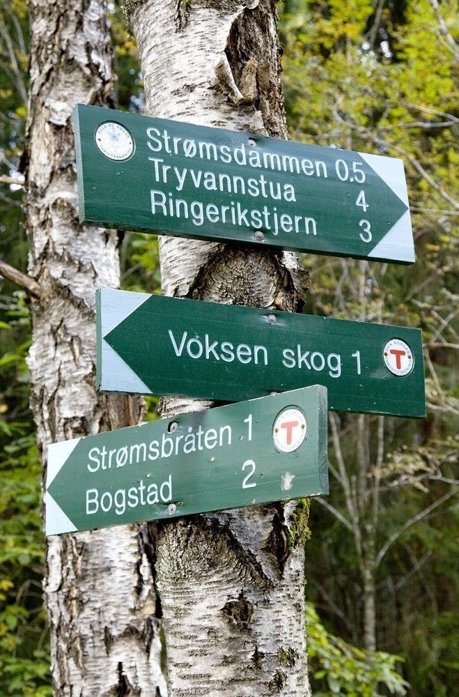 Kort vei til marka Galleribilde