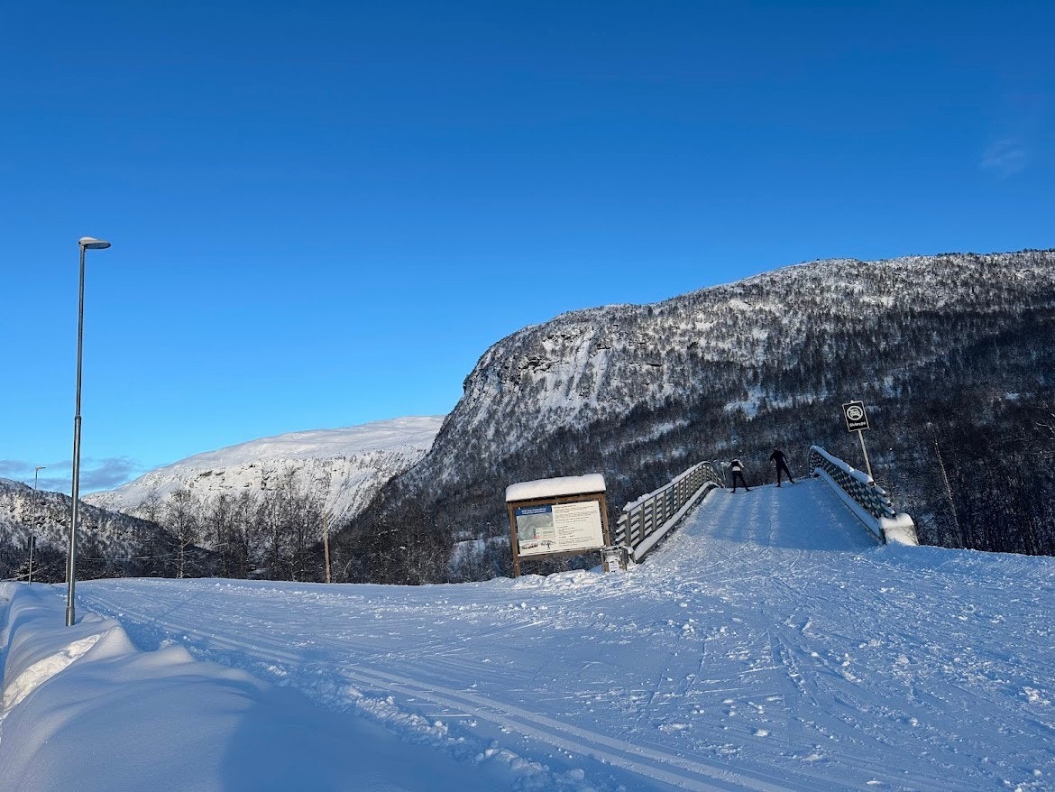 Langrennsløyper opp i fjellet og lysløype Galleribilde