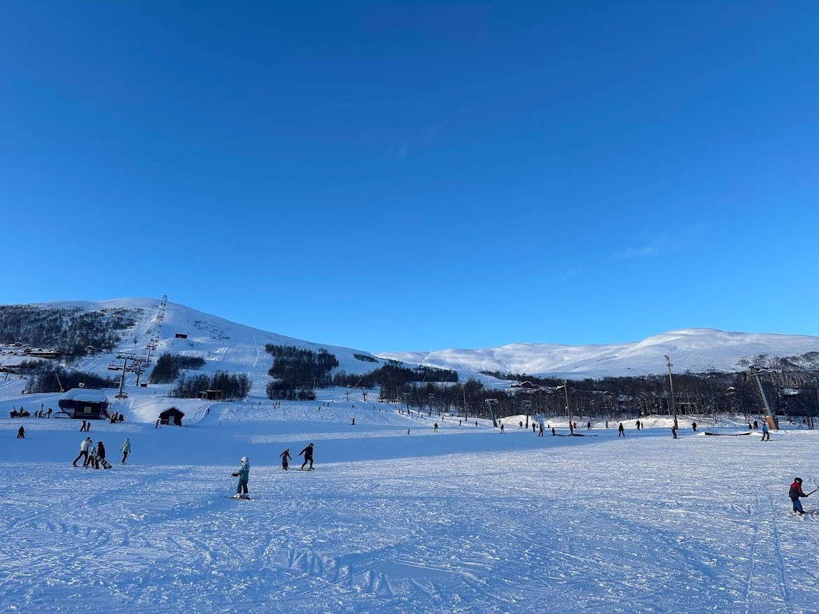 Fjellandsbyen i Myrkdalen Galleribilde
