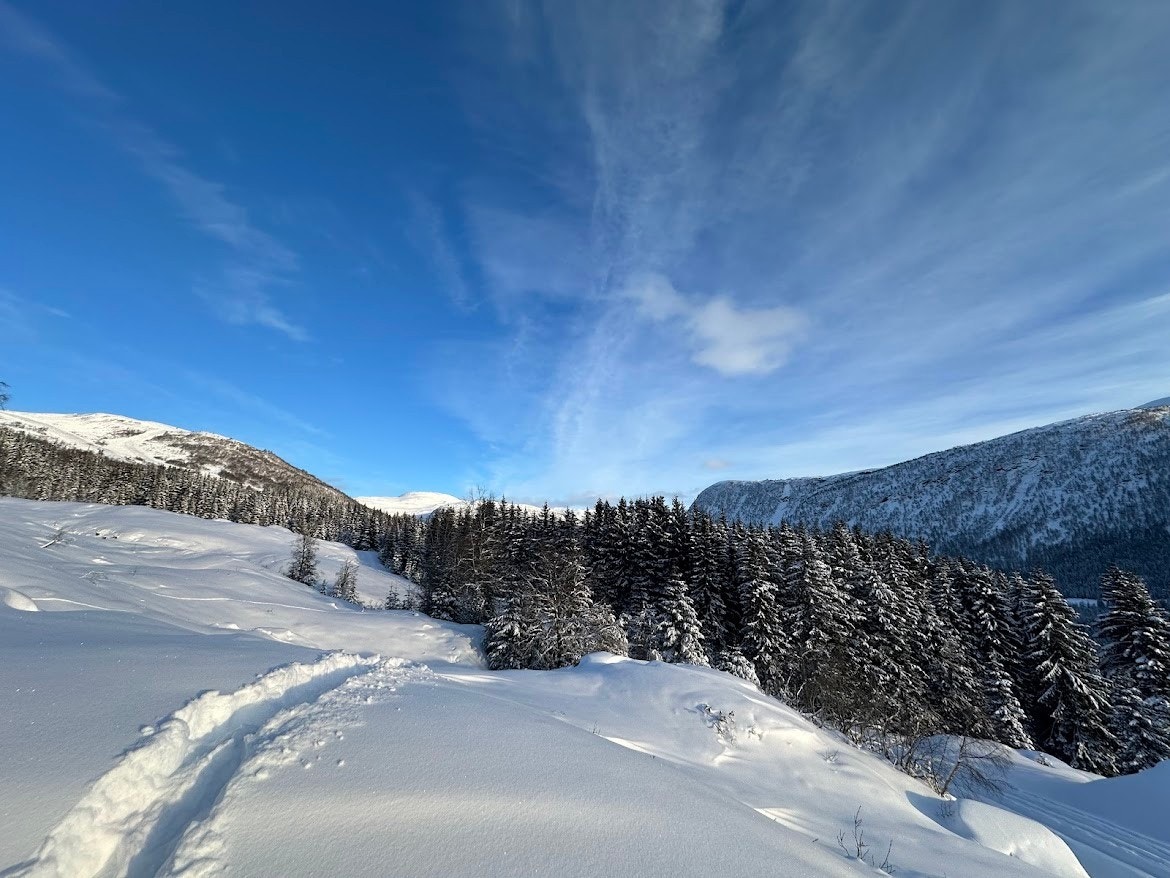 Bilde frå Hyttefeltet Galleribilde