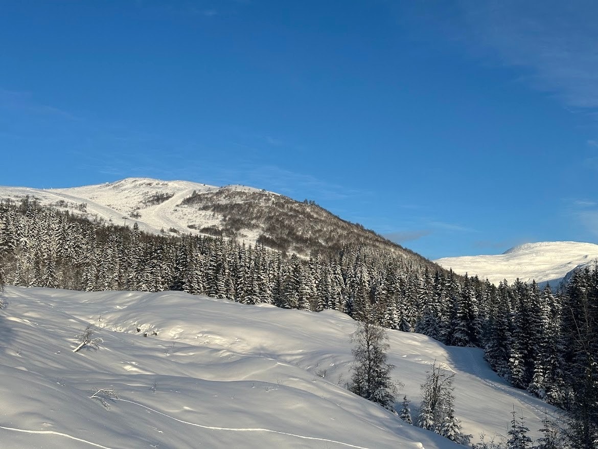 Bilde frå Hyttefeltet Galleribilde