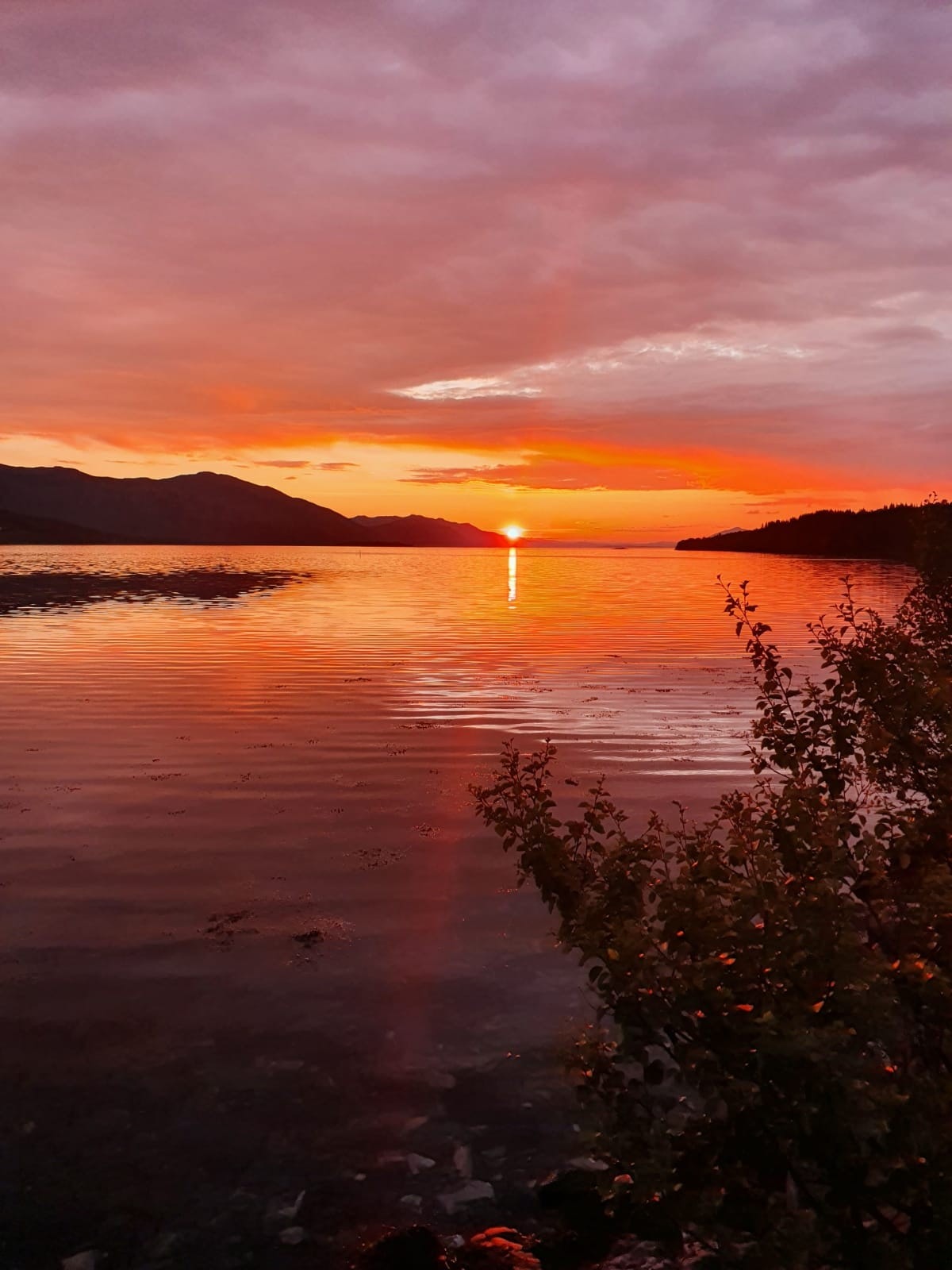 Selgers eget bilde. Galleribilde