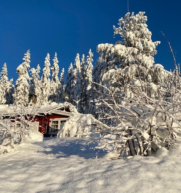 Vinterstemning Galleribilde