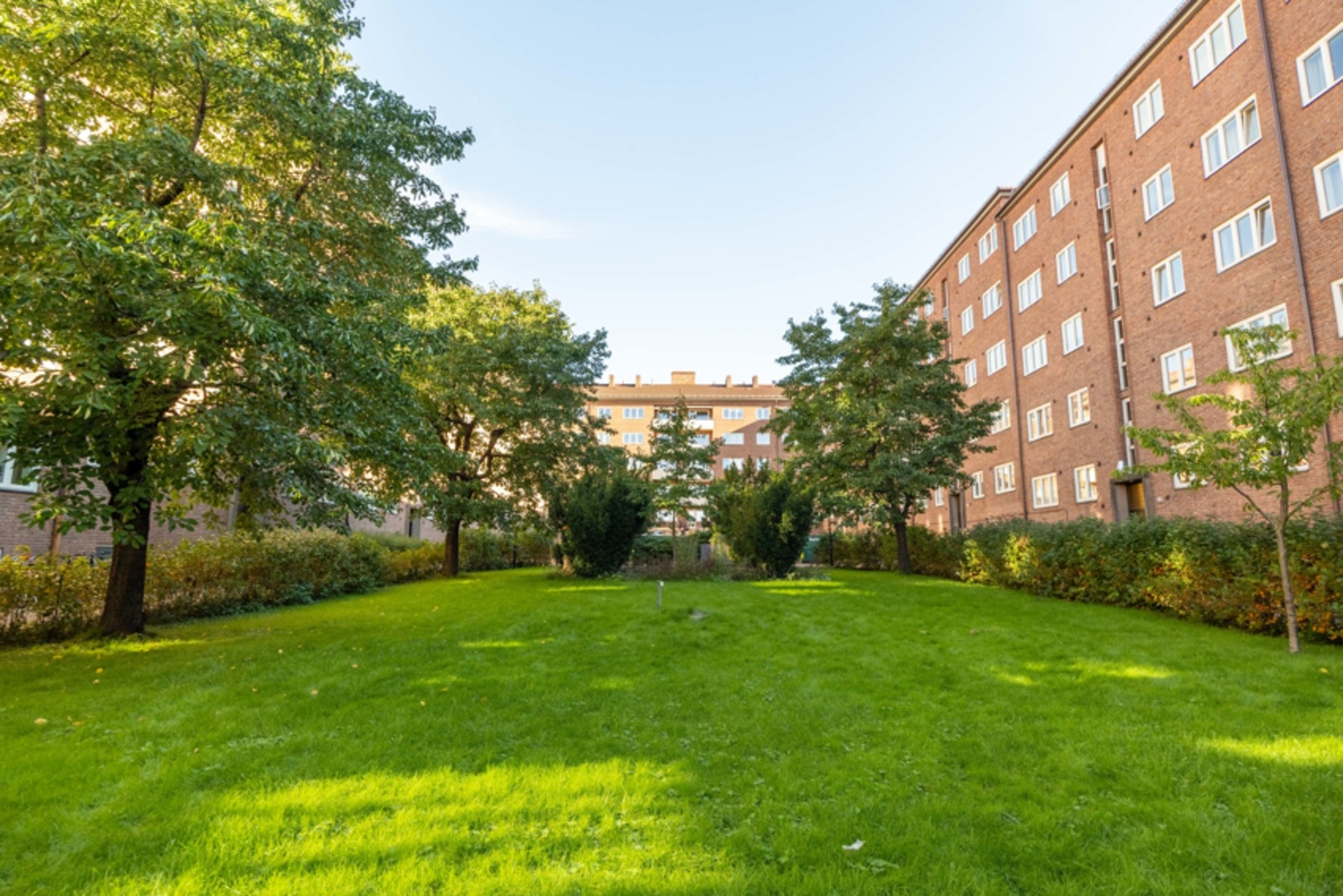 Bakgården er grønn og frodig med rikelig av boltreplass. Galleribilde