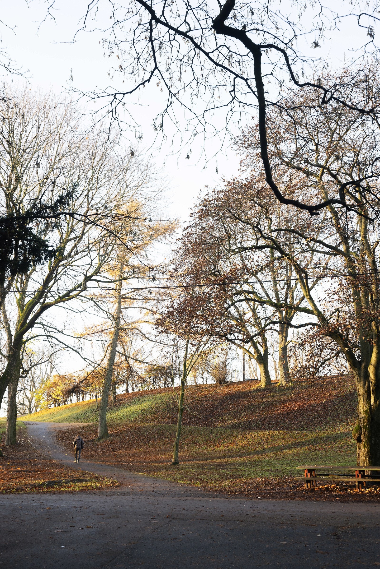 Området rundt Thereses gate har flotte grøntområder som gir gode muligheter for rekreasjon. Galleribilde