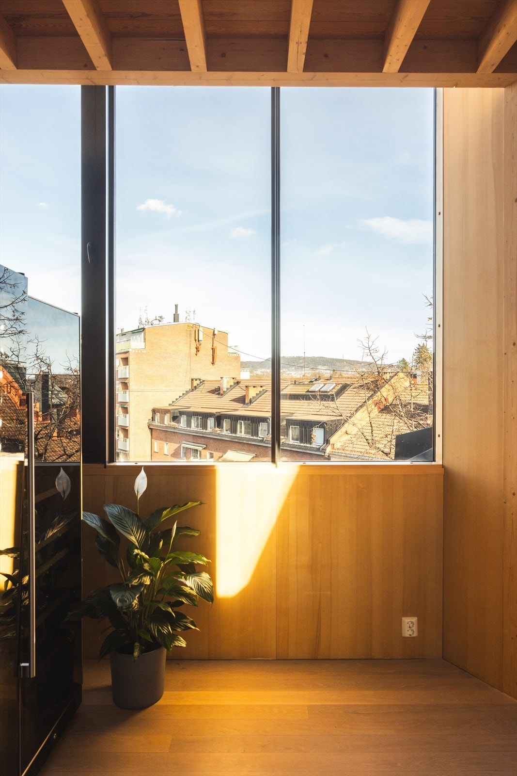 Usjenert og nydelig utsikt Galleribilde