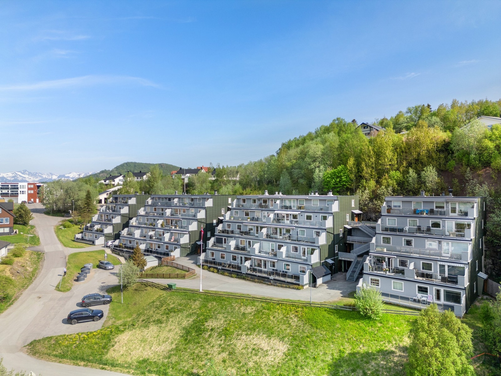 Velkommen til en trivelig visning! Galleribilde