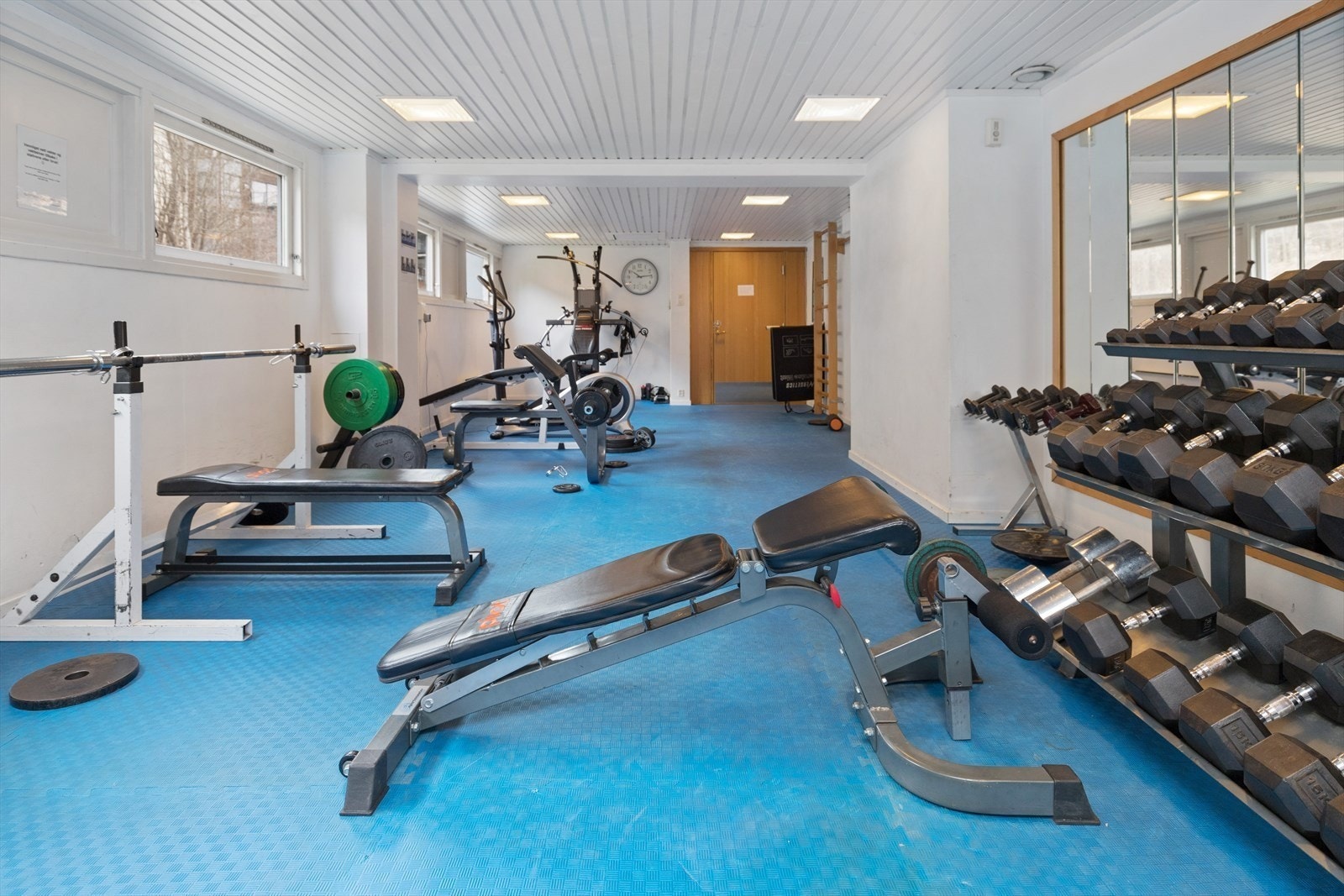 Sameiet har felles trimrom og sauna Galleribilde