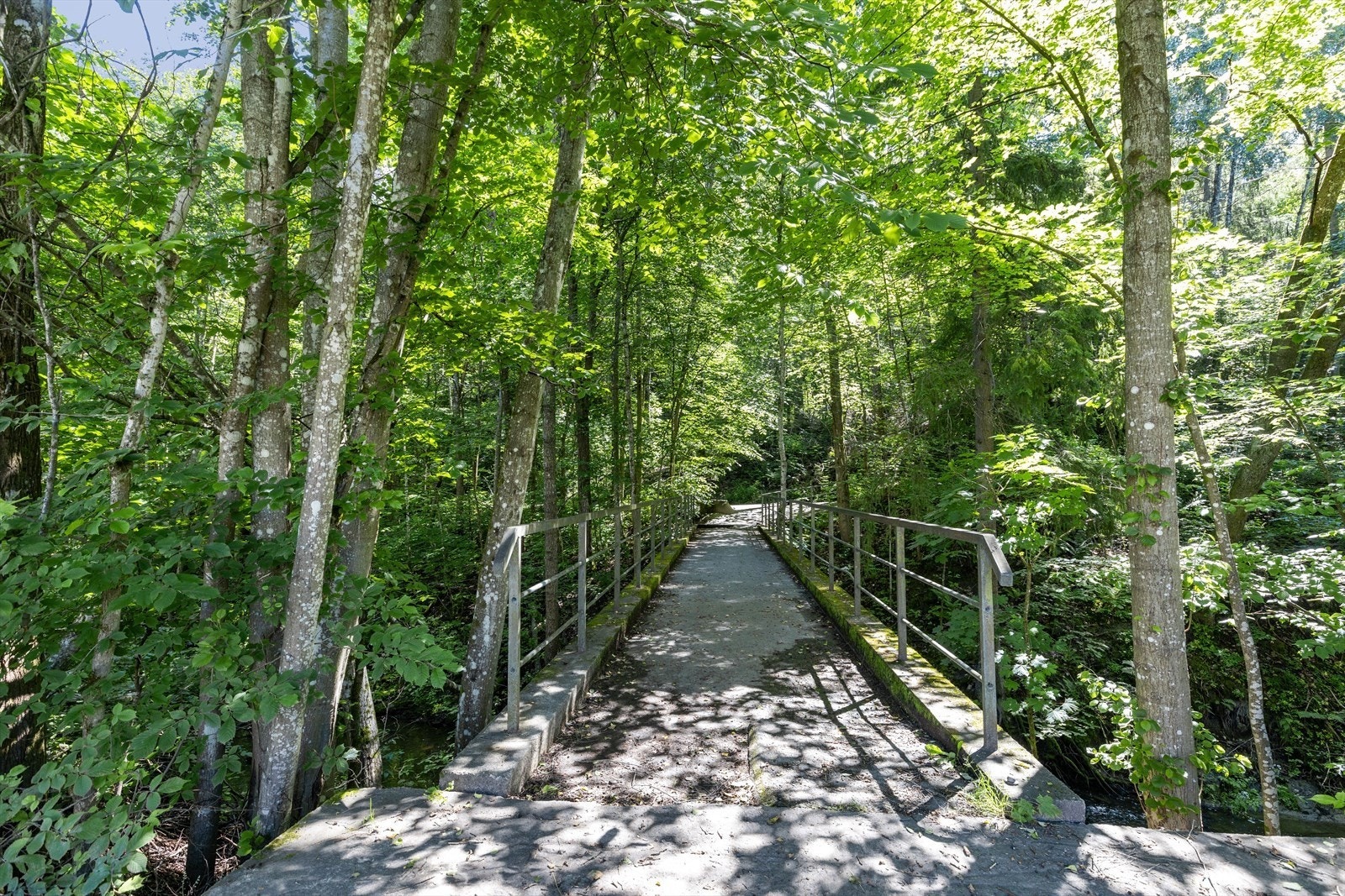 Rett ved boligen ligger Ljansdalen med mange turstier Galleribilde