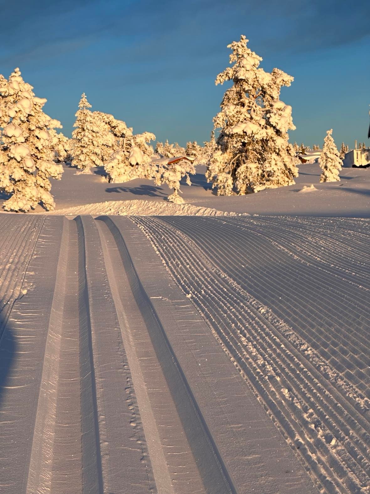 Blefjell har skiløyper i verdens klasse Galleribilde