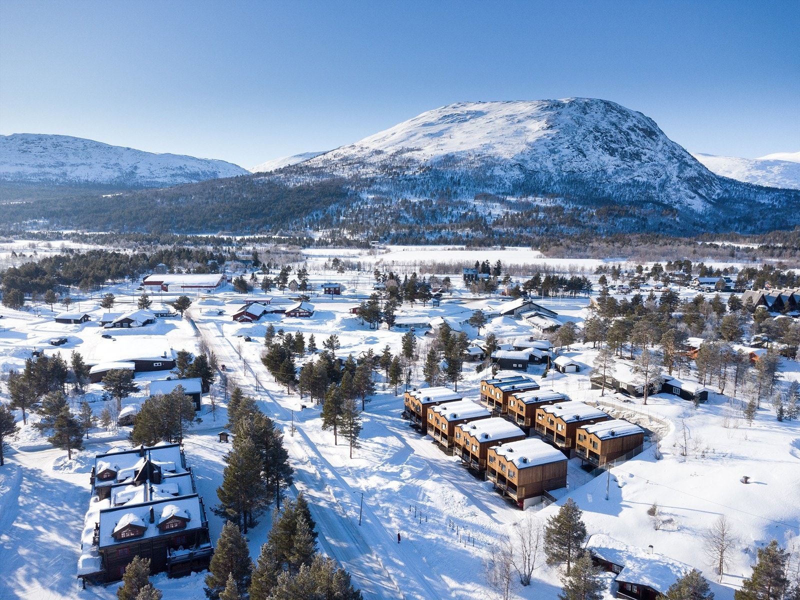 Dronebilde av nærområdet Galleribilde