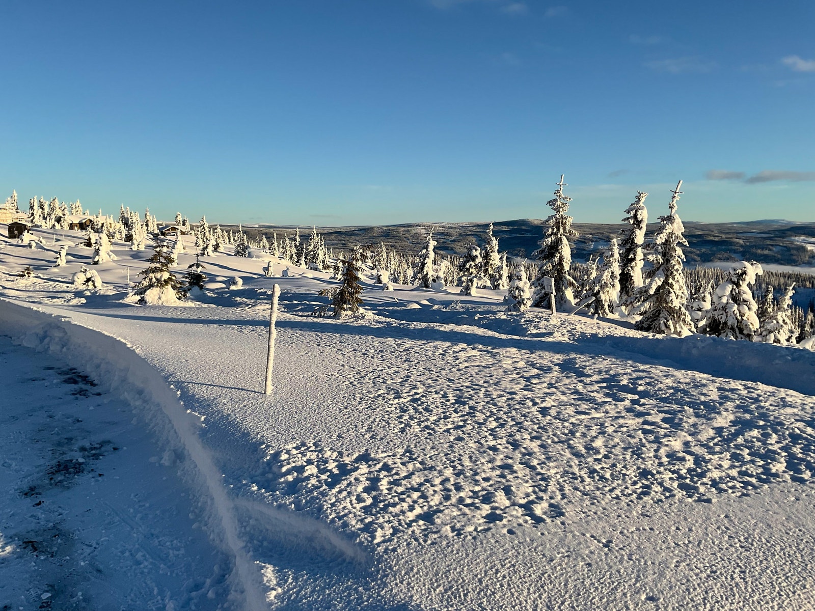 Utsikt fra tomt 17 mot øst Galleribilde