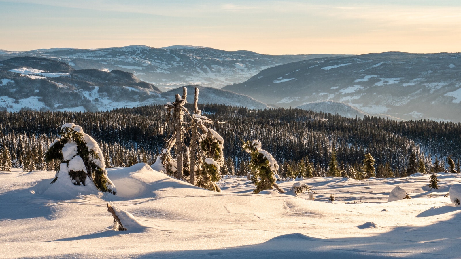 Bilde tatt lenger ned i tomtefeltet Galleribilde