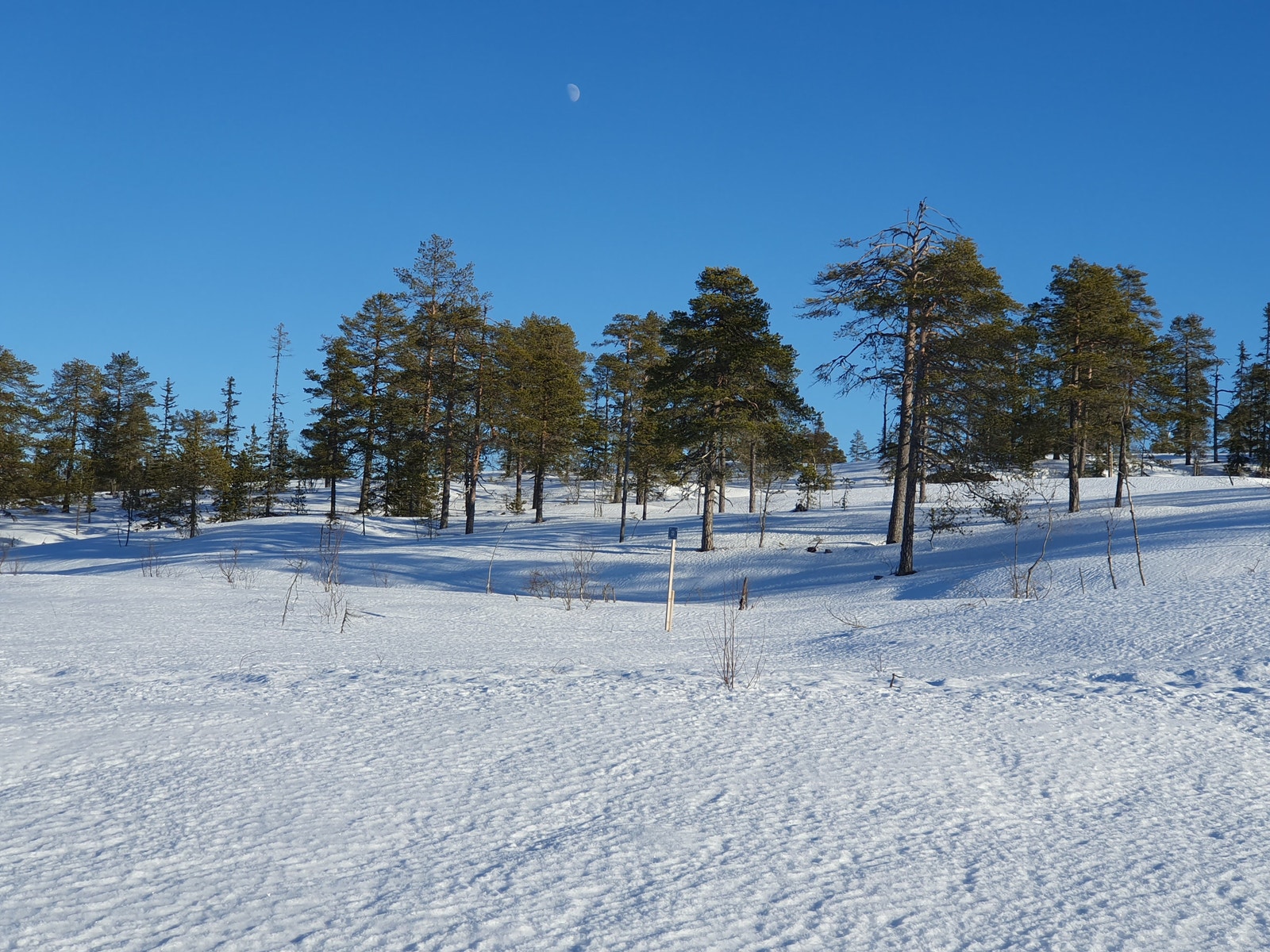 Tomtebilde fr området Galleribilde