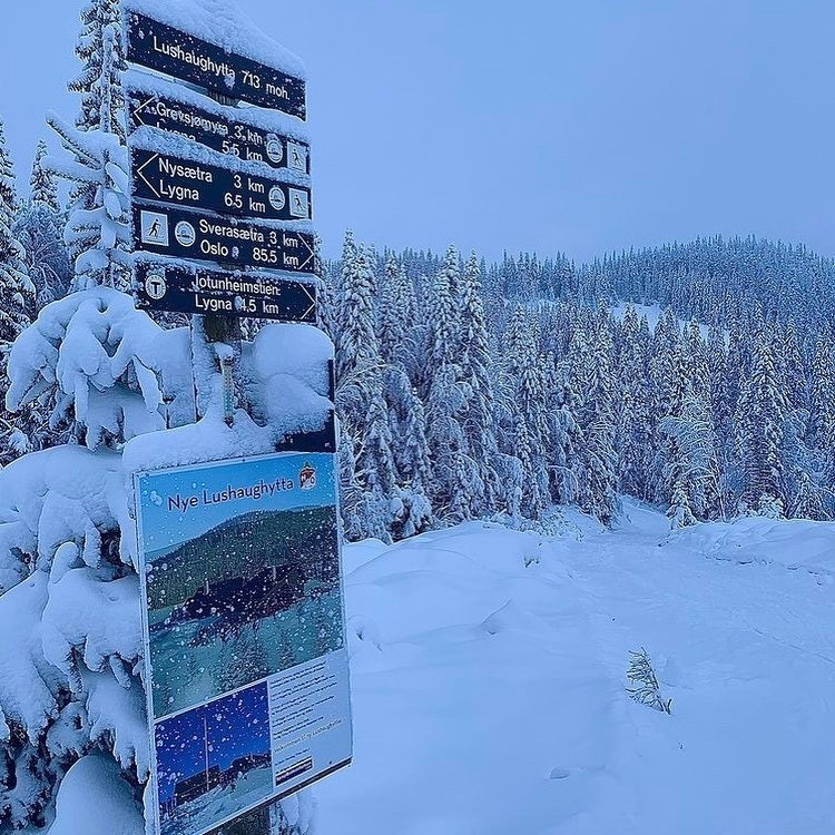 Det er milevis med skiløyper i området. Det er et snøsikkert område Galleribilde